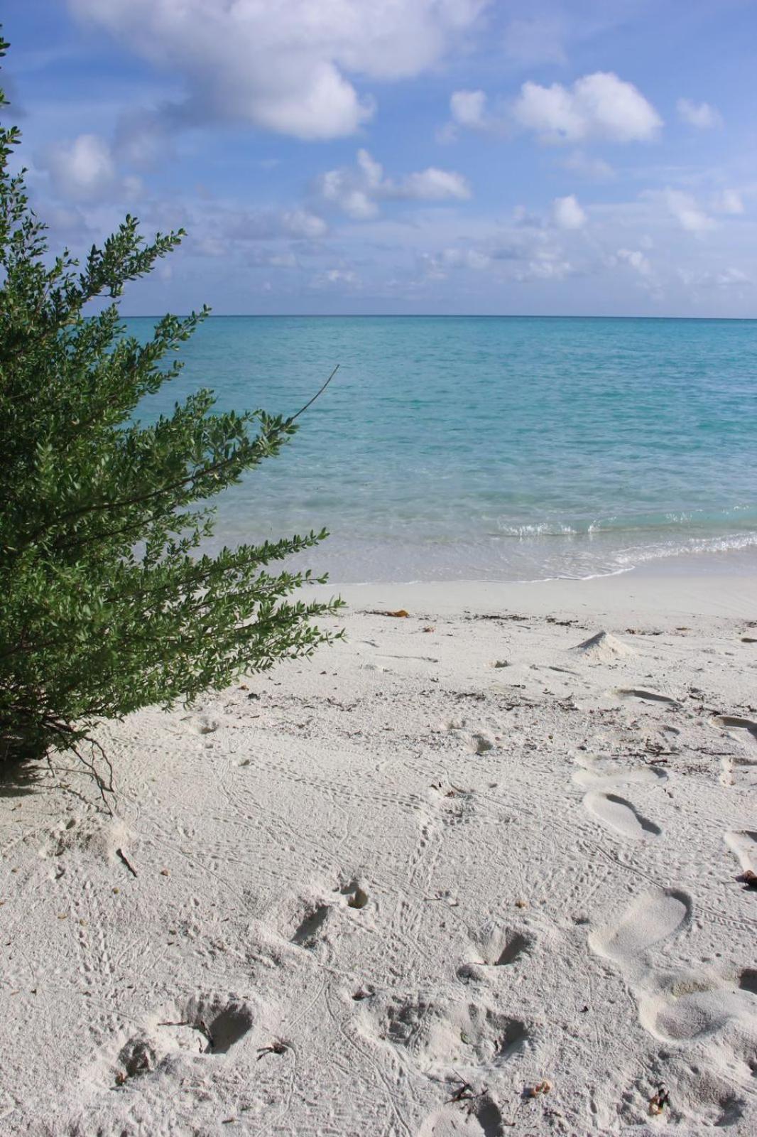 Isla Retreat Hotel Fehendhoo Luaran gambar